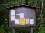 5.7.06 Wauna Point 001 